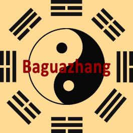 Baguazhang Xingyi Bagua