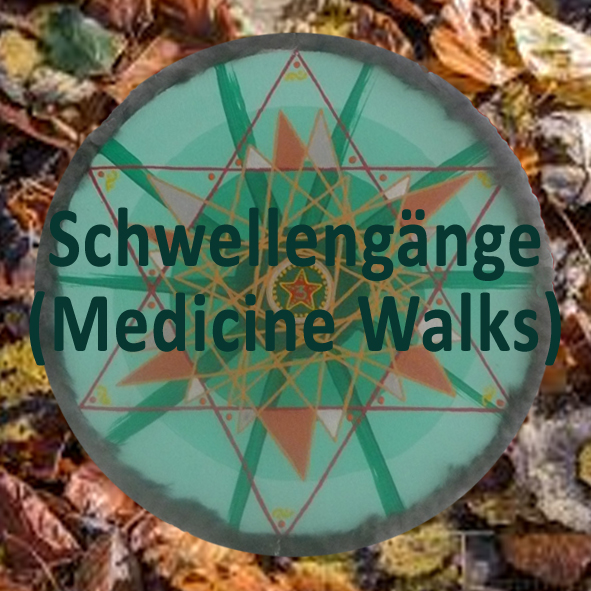 Einführung in den Schamanismus