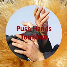 Push Hands Touishou Pushing Hands Schiebende Hände